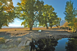 Main Photo